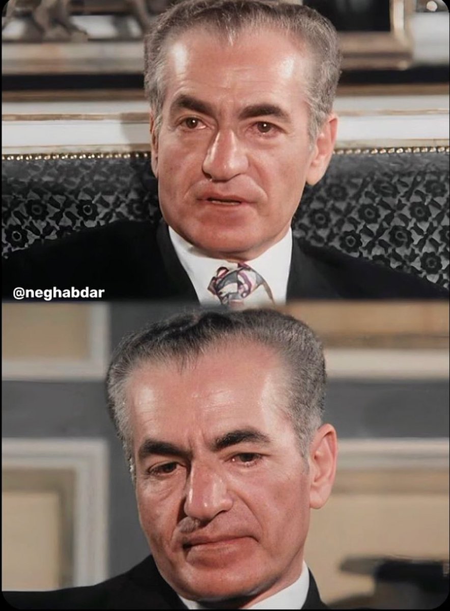 sunshine. tweet media