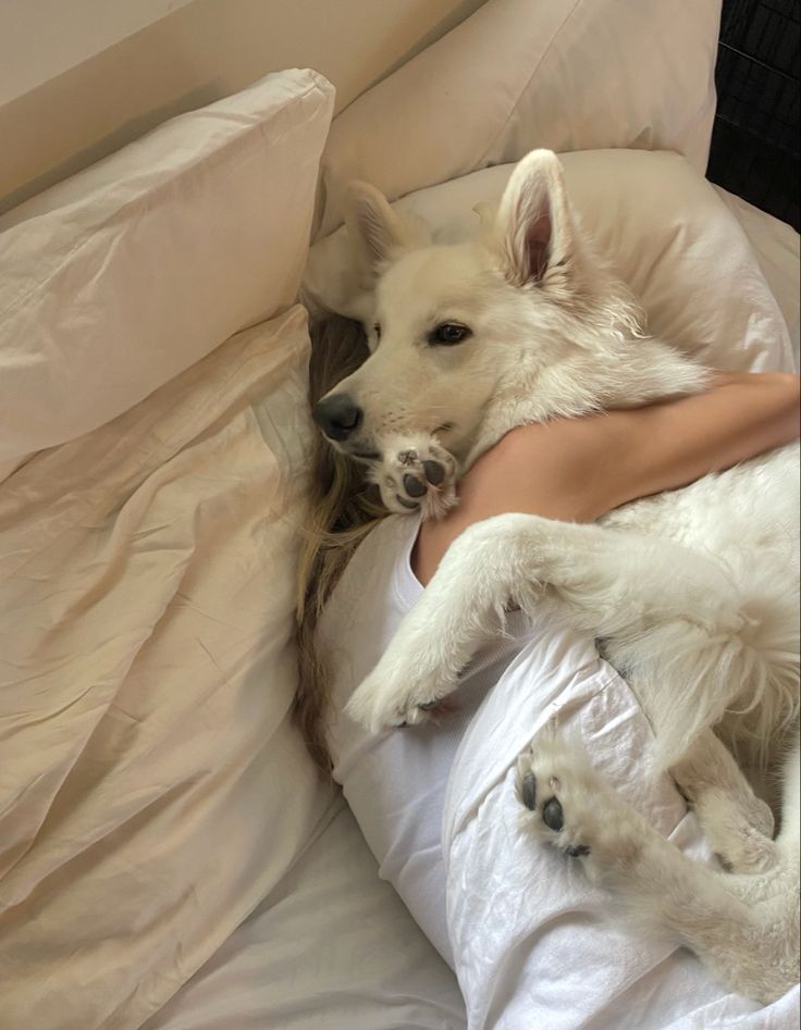 The Loyal Tail tweet media