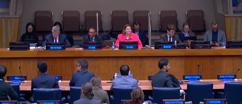 NZ at the UN tweet media