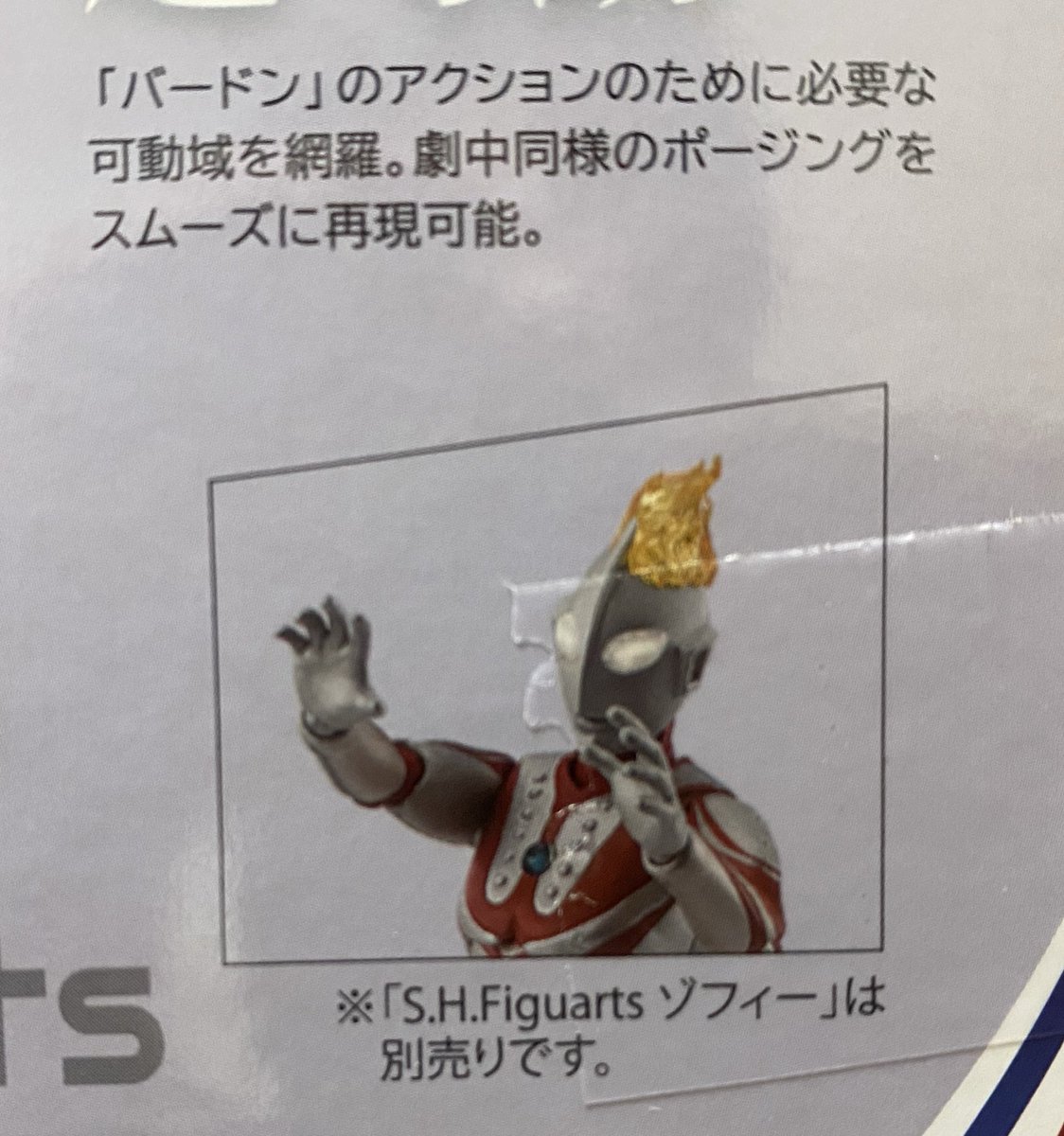 ゆとりと怪獣 tweet media