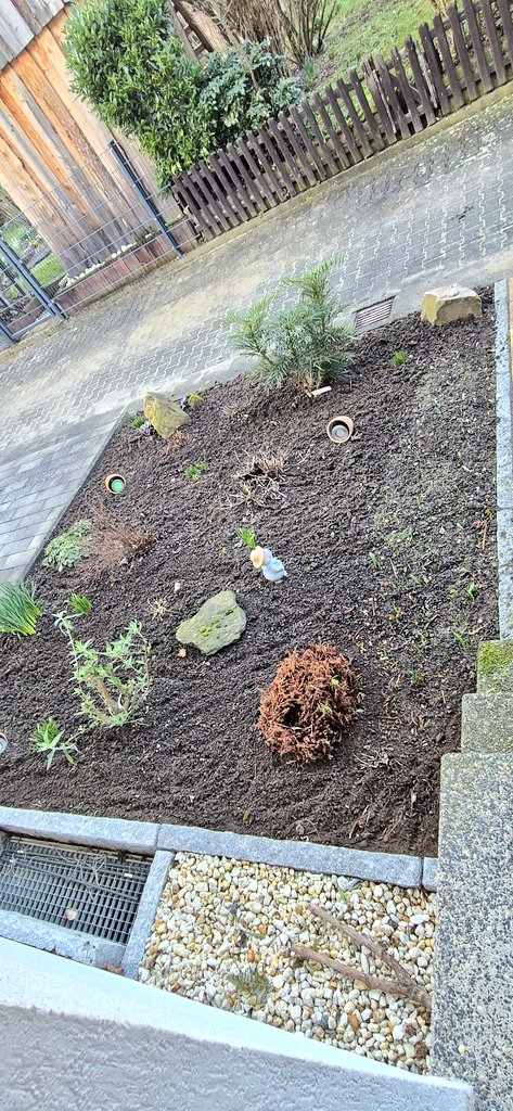 Joergemann's tweet image. Vorgarten erledigt ✅️
Der Frühling kann kommen.
An den #Pool mache ich ich mich nächste Woche ran, das wird mehr Arbeit

Und jetzt Beine hoch, Sonne genießen und #Prost🍻 Ihr Säcke