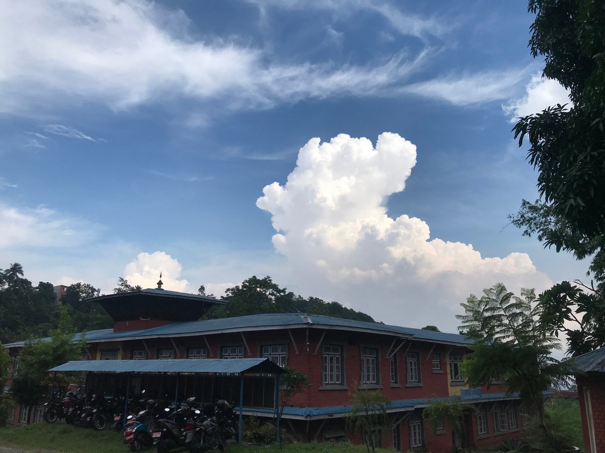 Dilli Hang Rai tweet media