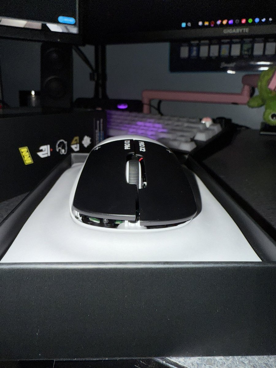 𝙠𝙞𝙘𝙠 tweet media