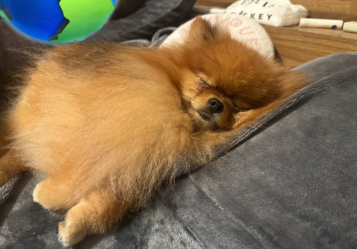 ミルモとポン！ (@mirumo__pon) / Posts / X