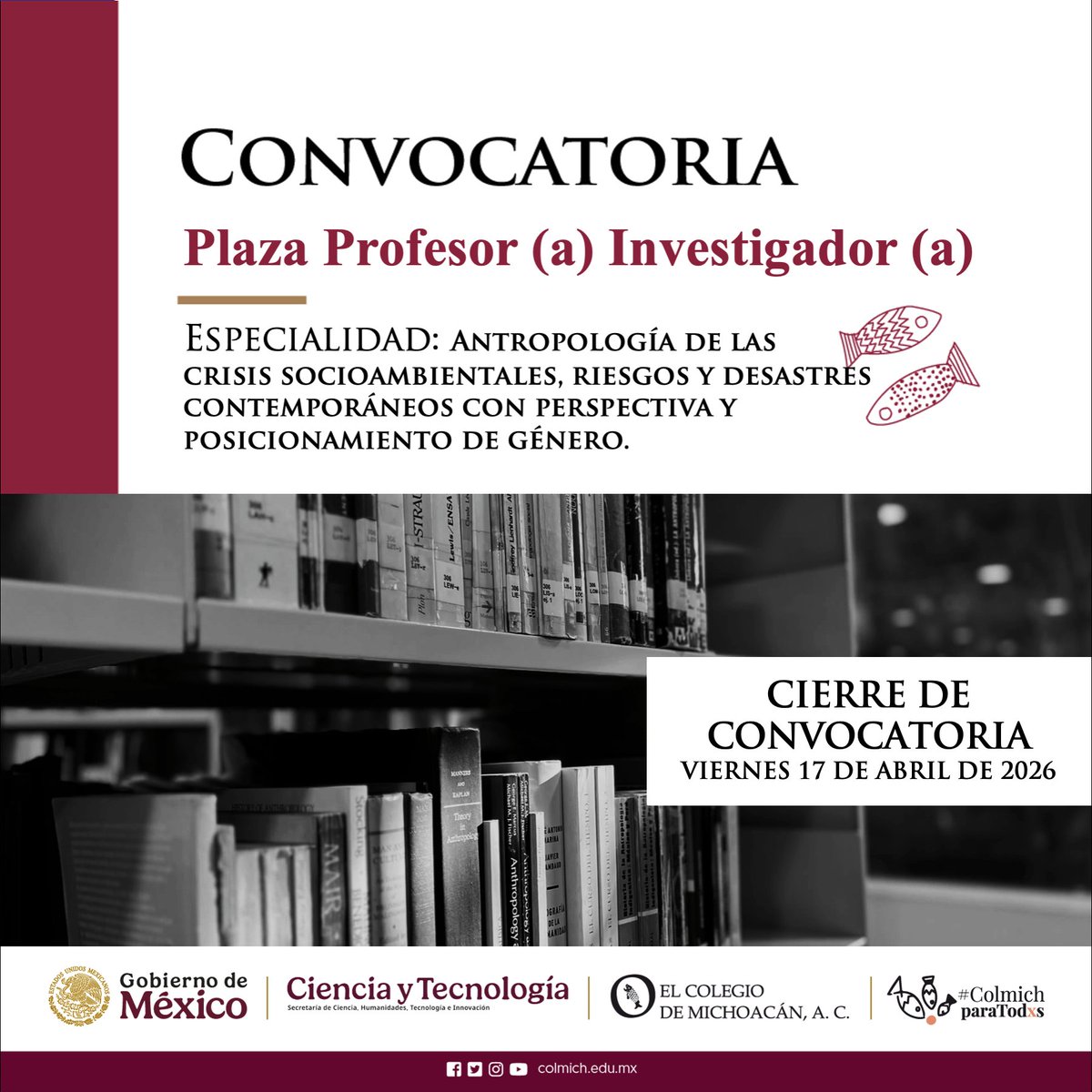 El Colegio de Michoacán tweet media