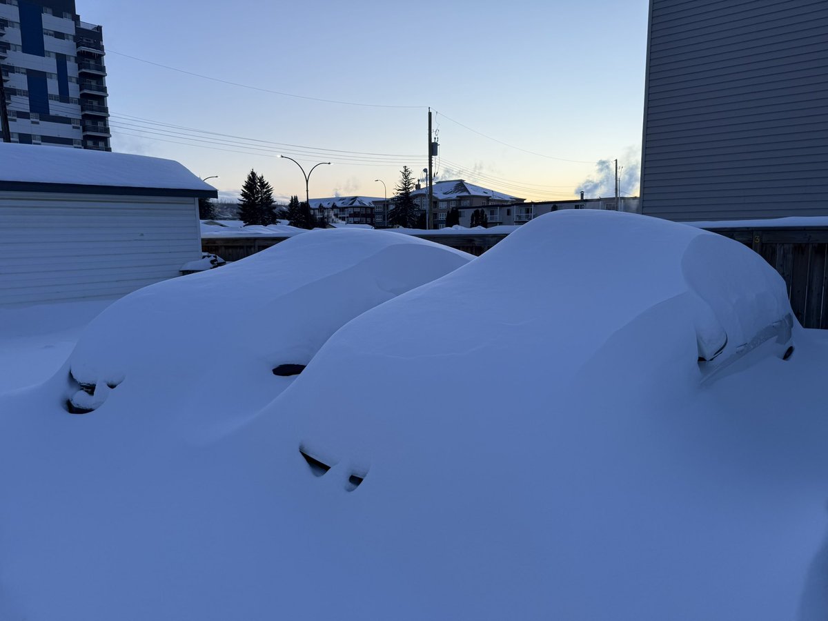 Braydon Morisseau tweet media