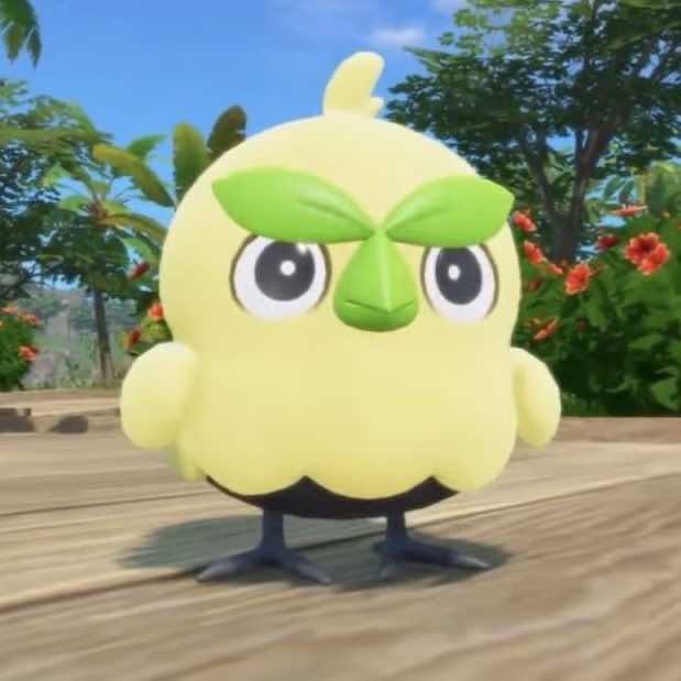 ToHeckk's tweet image. Rowlet don’t look but there’s an ugly bitch calling you twin