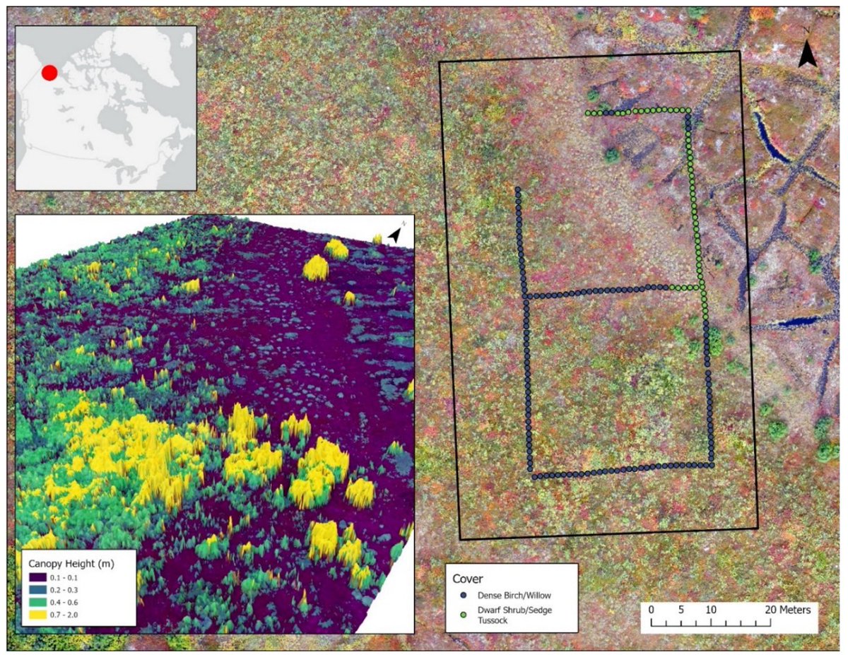 RemoteSens_MDPI's tweet image. 👋Repeatable DTM accuracy in #vegetated #terrain hinges on ≤1.5 cm imagery, &amp;gt;80% overlap &amp;amp; high point density. These thresholds ensure consistent elevation and vegetation change detection #dji #surveying #photogrammetry

✍️ Jurjen Van der Sluijs et al.
🔗 brnw.ch/21x0jSk