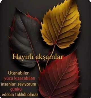 Hızır Ayazoğlu (@kaptanbeykoz) on Twitter photo 