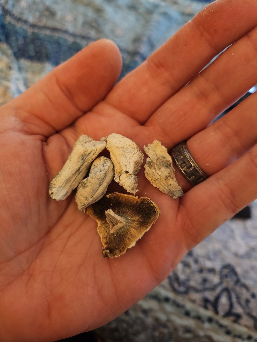 Great start for the day!