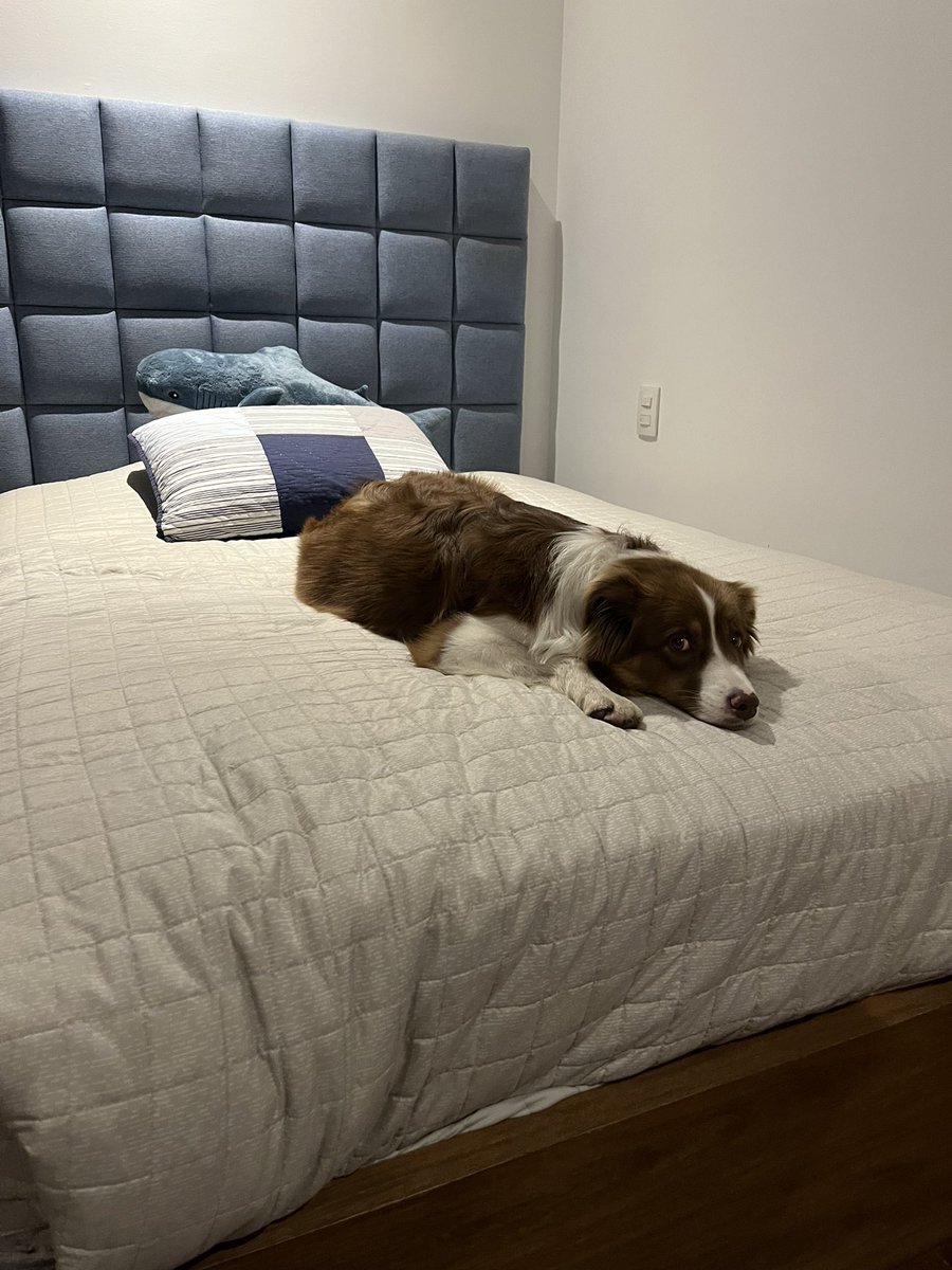 💛Femboy Ruby💛 tweet media