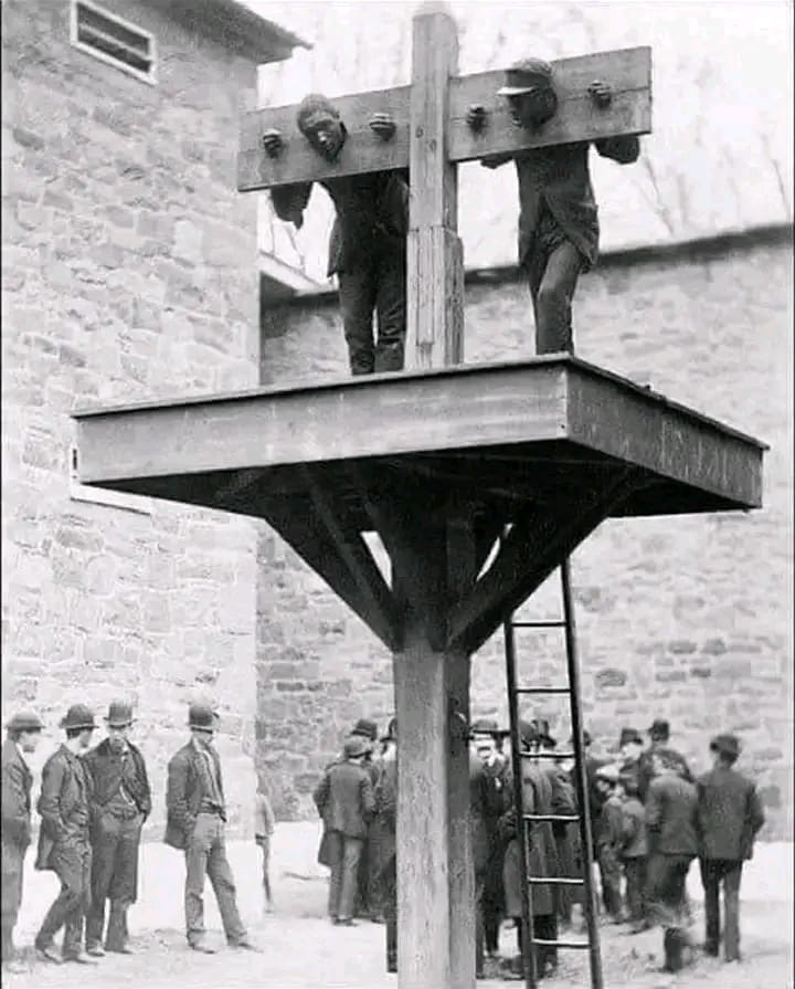 Ochiedike tweet media