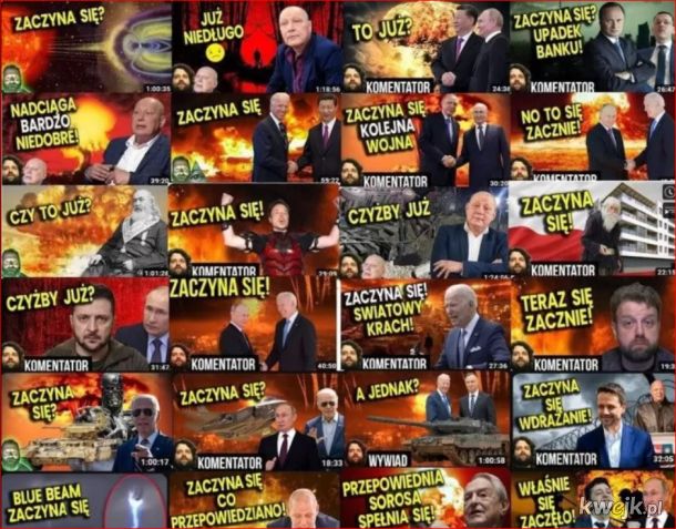 Luci_Backup tweet media