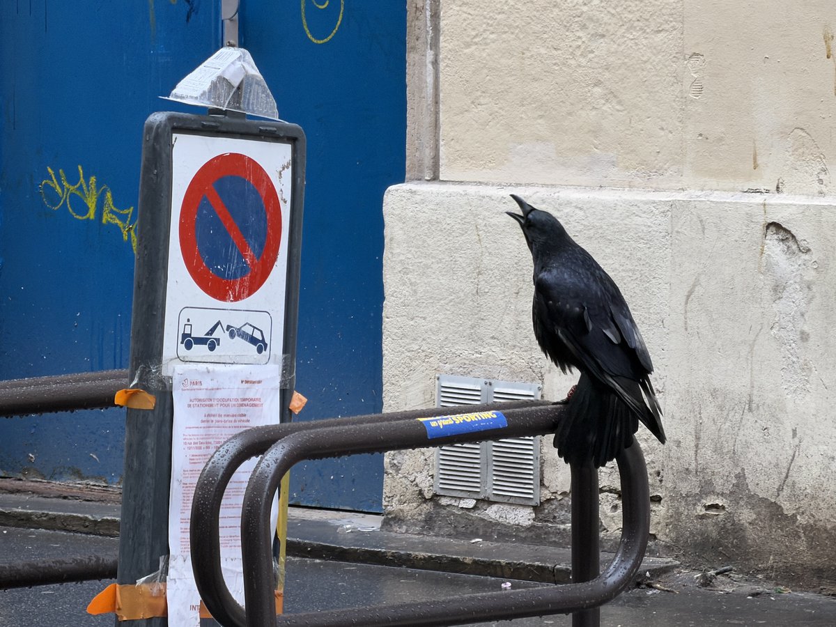 ActuaLitte's tweet image. 🔗 actualitte.com/article/129607…

📚 | FIN DE LA SAISON 1 : Victoire pose ses tableurs et reprend son souffle.
Témoignage cru sur la déshumanisation du secteur et l’appel à une édition plus vivante.

#édition #témoignage