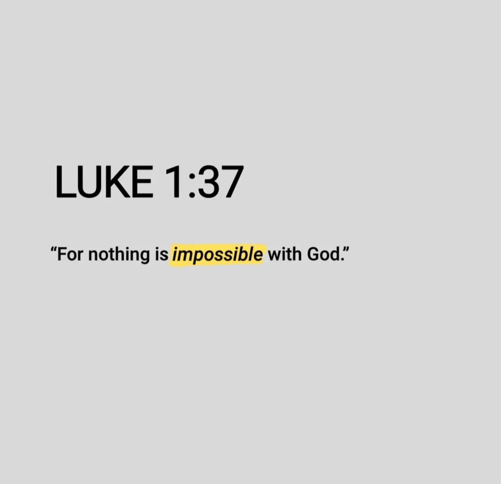 Holy Bible tweet media