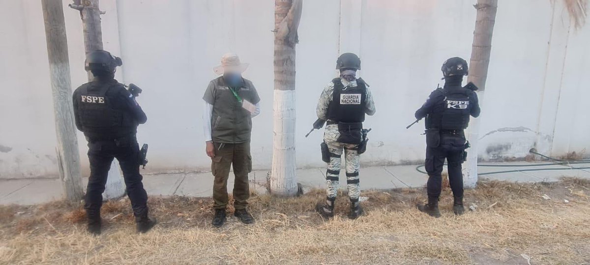 En Celaya, la PROFEPA, la Secretaría de la Defensa Nacional y la Guardia Nacional, aseguraron dos leones africanos y dos guacamayas verdes cuya posesión no fue acreditada legalmente. 

#Guanajuato