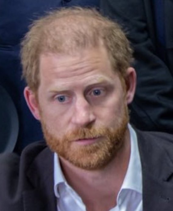 MeghansMole©️ tweet media