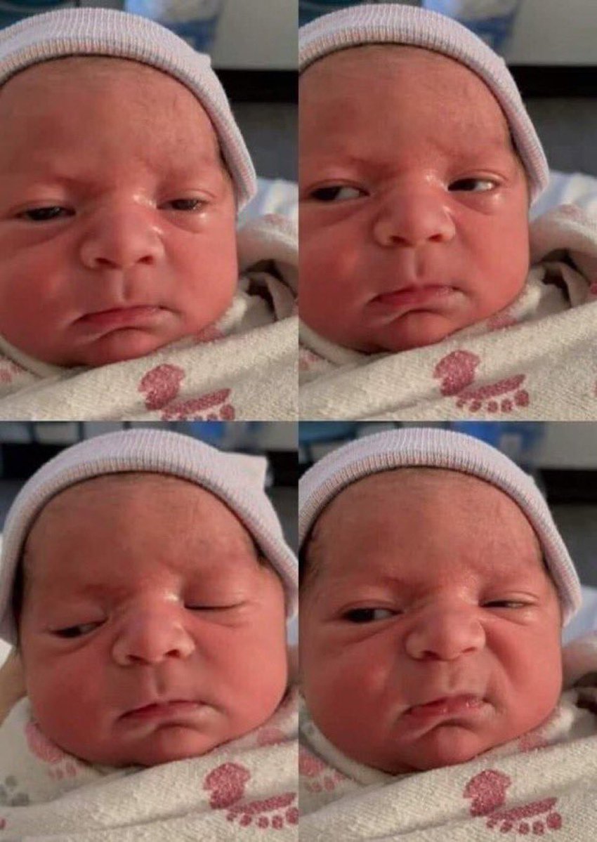 Are you a builder 

Me :