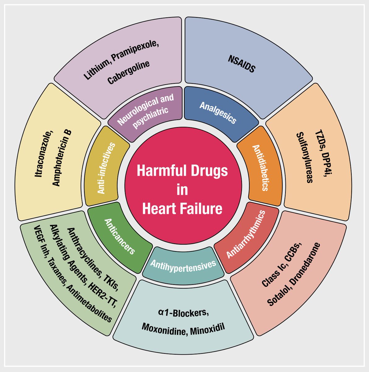 HFAPresident tweet media