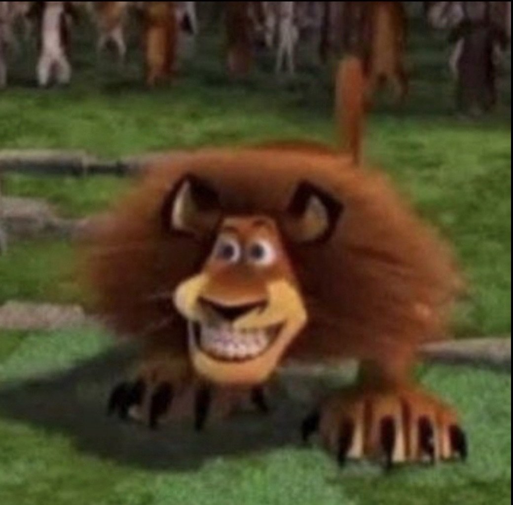 🕷 l e x 🕷 tweet media