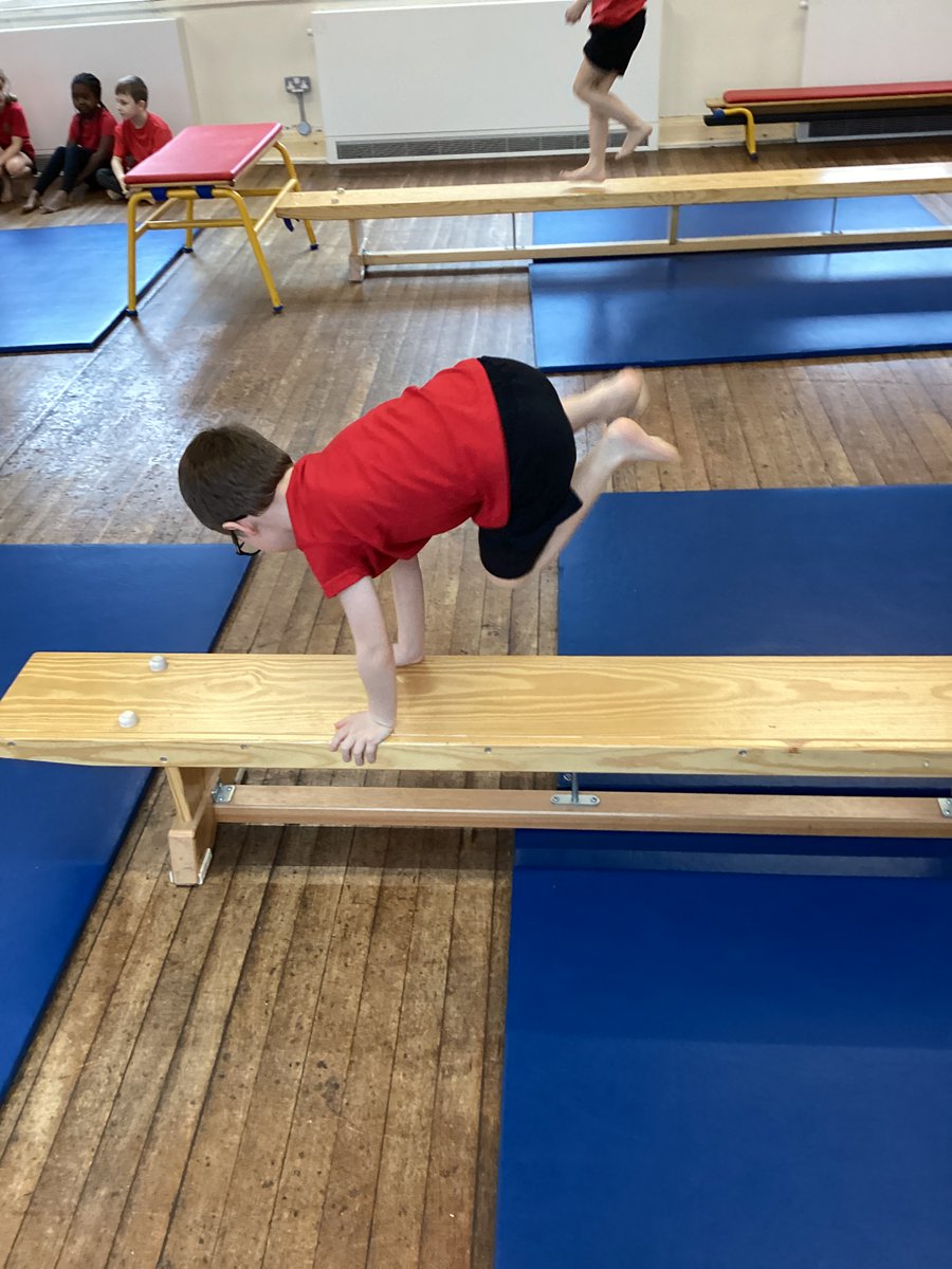 TISElmClass's tweet photo. This week, Year 2 used their prior knowledge of travelling to cross different pieces of apparatus. Well done! @TownvilleIS https://t.co/wMe0N9autg
