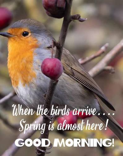 ❥ 𝑪𝒐𝒇𝒇𝒆𝒆 𝑳𝒐𝒗𝒆𝒓𝒔 𝒂𝒏𝒅 𝑭𝒂𝒏𝒔 ❥ tweet media