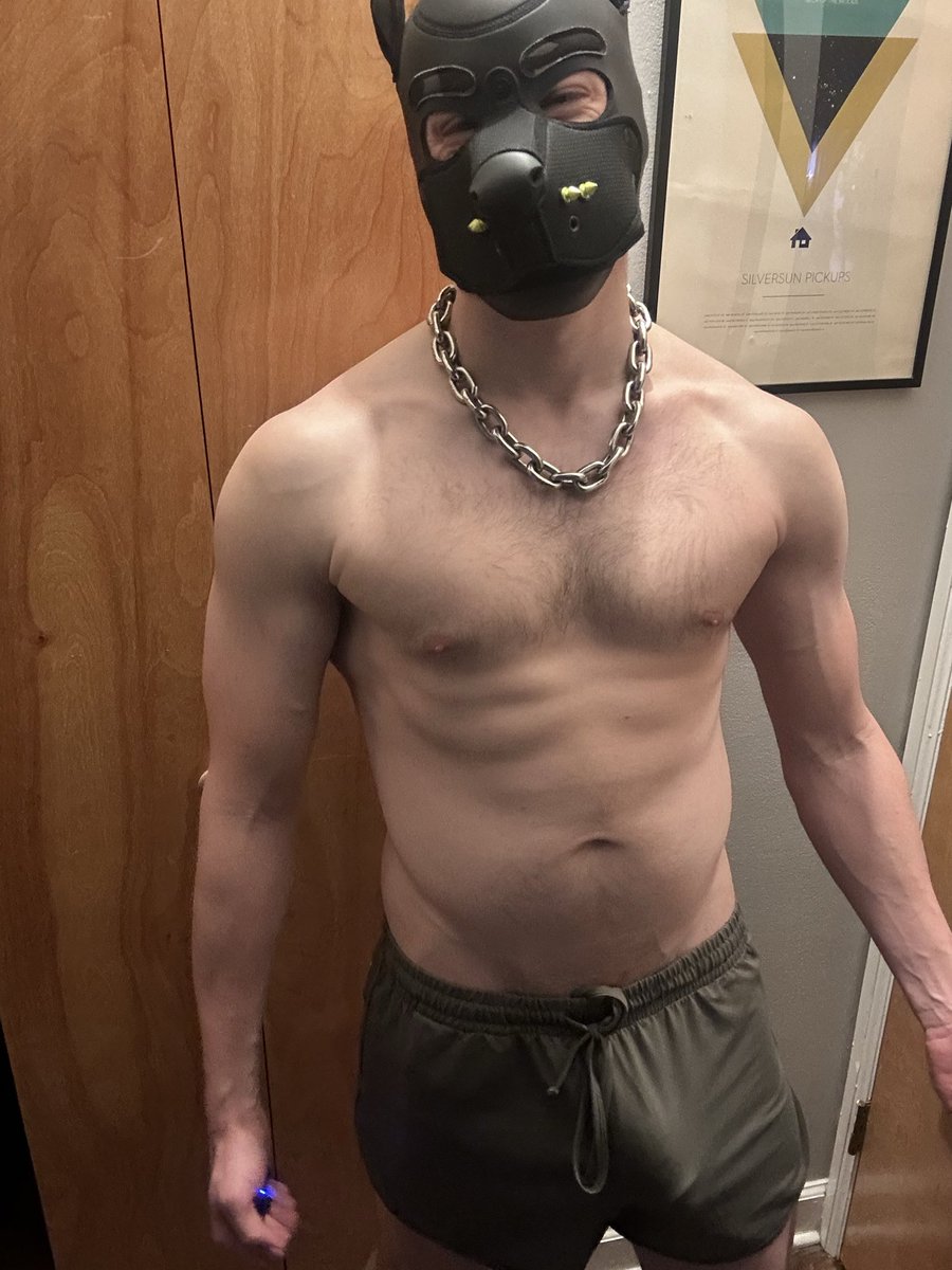 Bull Wandering tweet media