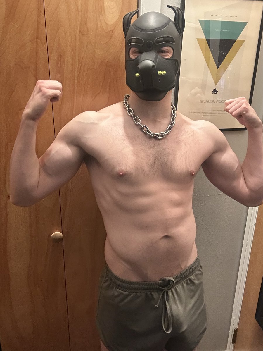 Bull Wandering tweet media