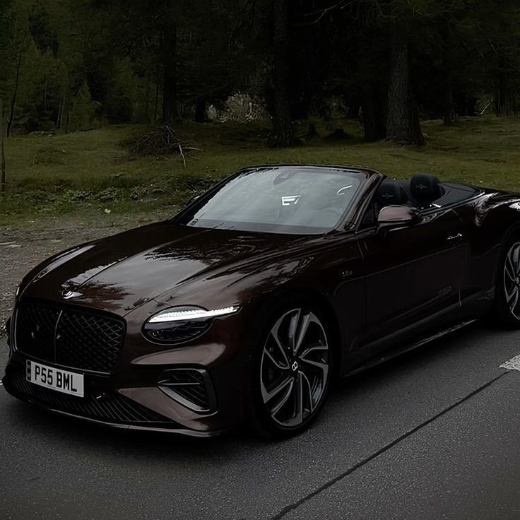 That paint looks like spilled espresso in the twilight. Pure class with enough torque to bend reality. ☕️