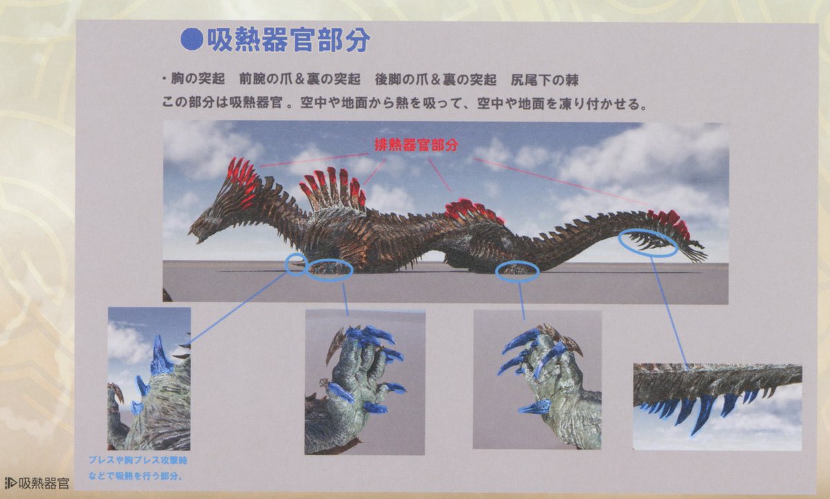 BannedGammoth tweet media