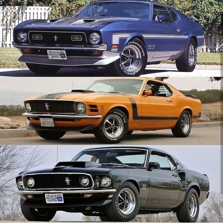Col2Vintage's tweet photo. Top, Middle or Bottom 🤔 https://t.co/RpRAVnJkc0