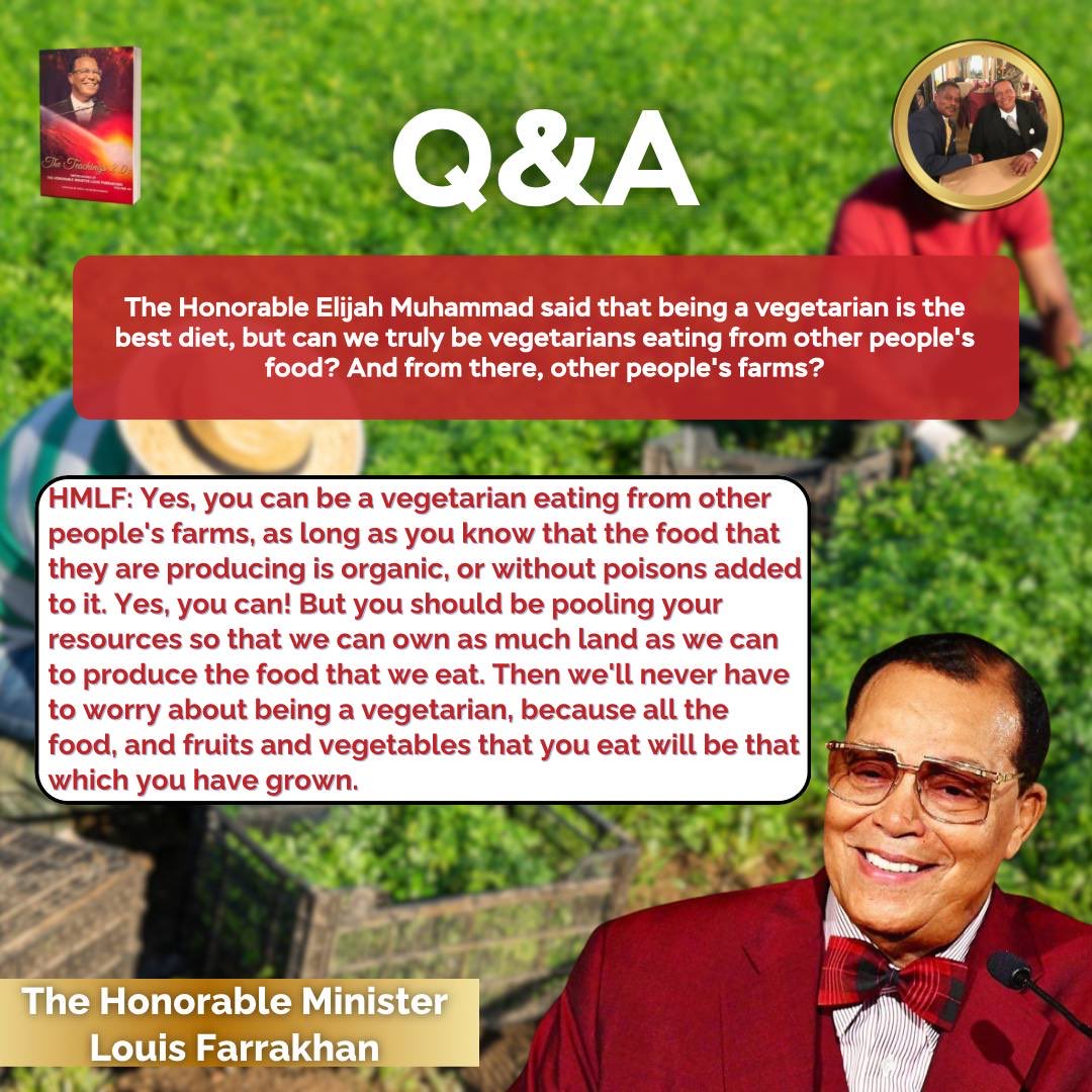 NOIWaxahachie's tweet image. BE THE EXAMPLE!🚨

#GodFamilyNation
#SelfImprovement  
#6thMosque
#NOIWaxahachie
#ParentingAdvice