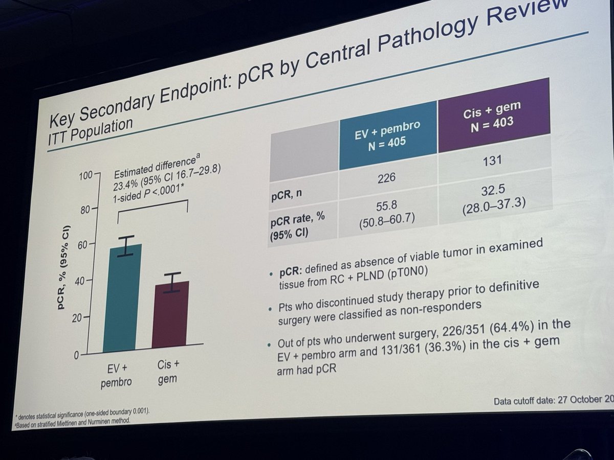 Stephanie Berg tweet media