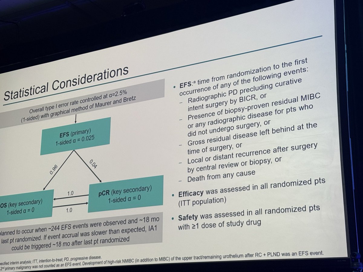 Stephanie Berg tweet media