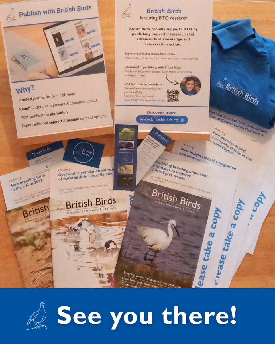 British Birds tweet media