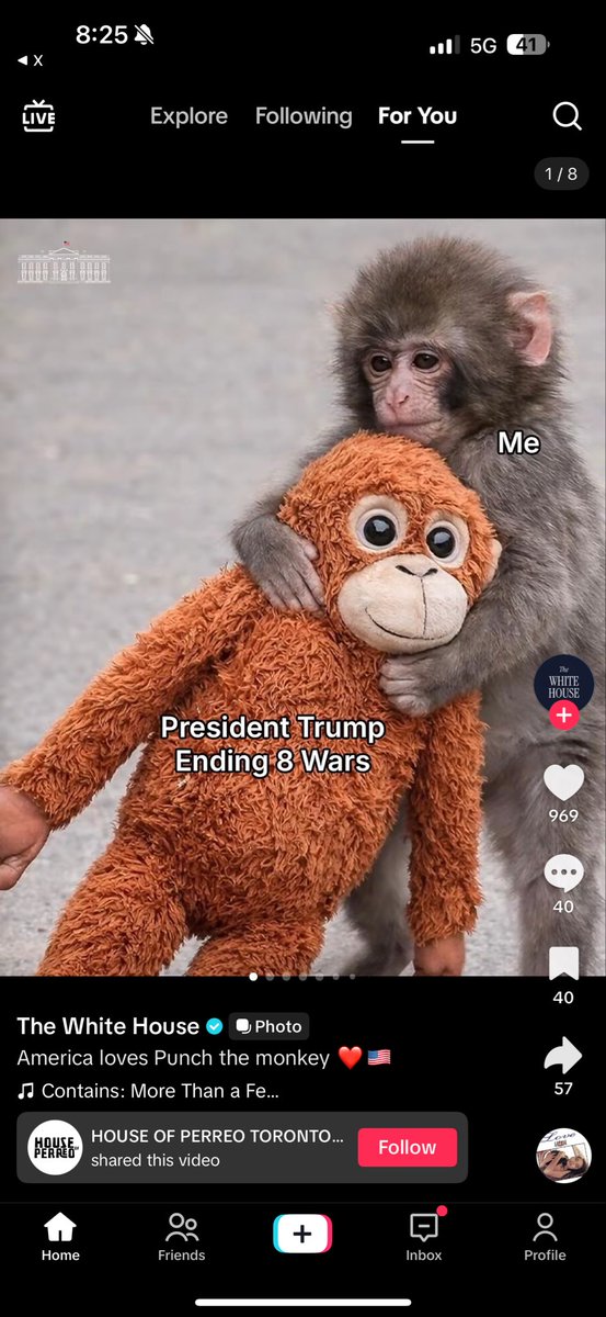 The <a href="/WhiteHouse/">The White House</a> just posted a $PUNCH meme for the 2nd time 

tiktok.com/@whitehouse

this is what started the $PENGUIN run