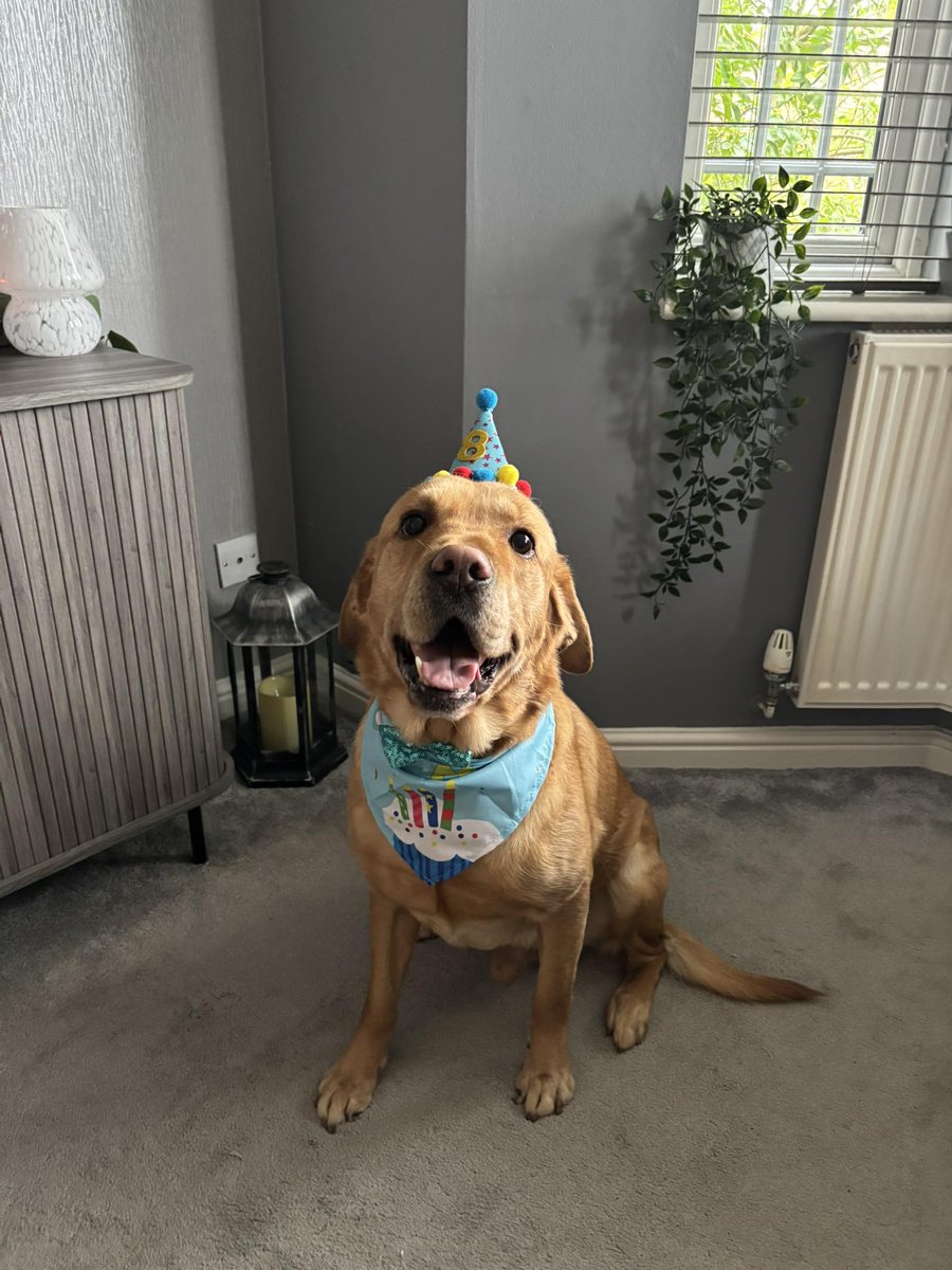 Megantron tweet media