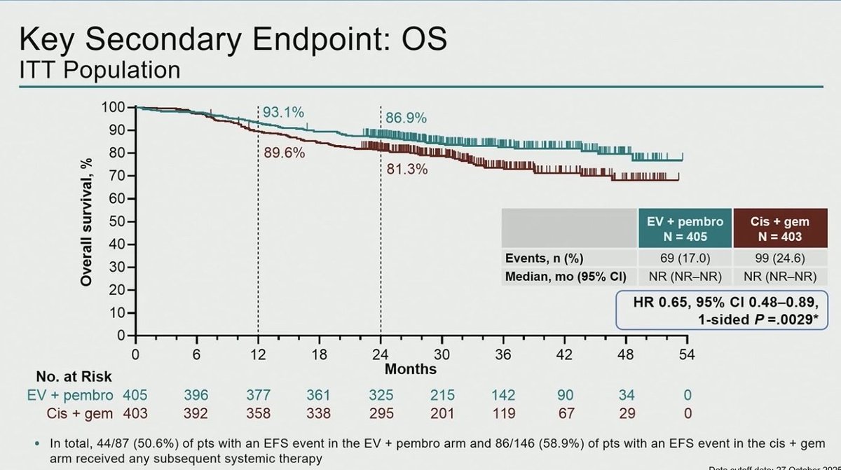 Andrea Apolo, M.D. tweet media
