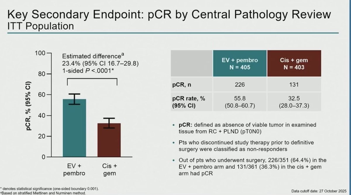 Andrea Apolo, M.D. tweet media