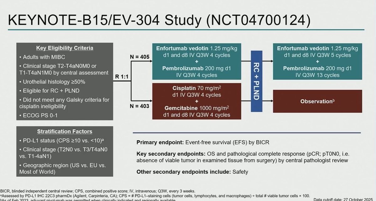 Andrea Apolo, M.D. tweet media