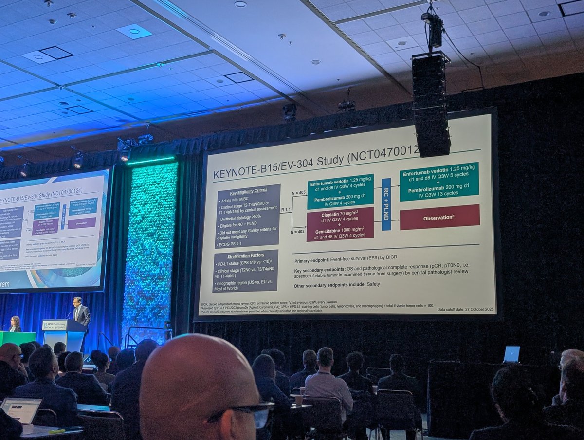 Marc Zhang tweet media