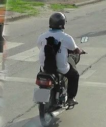 แงวมาก เอ็นดู5555
 #OnlyFriendsDreamOnEP1