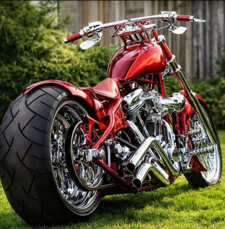 RED PEARL BIKER tweet media