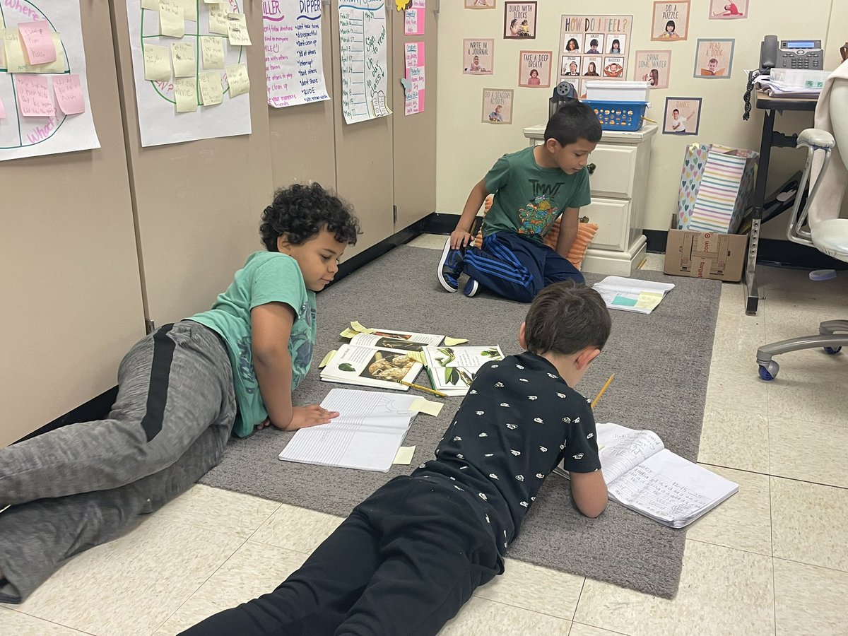 Sardis Elementary School tweet media