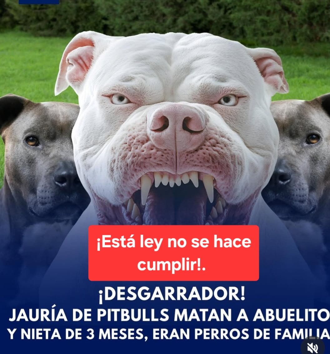 Victor Hugo Triana N (@victorh21508133) on Twitter photo 