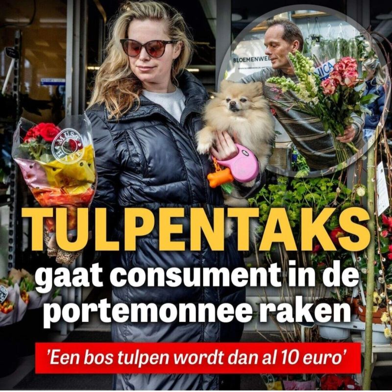 Nederlanders stemmen zelf op de partijen waardoor ze onderdrukt worden.