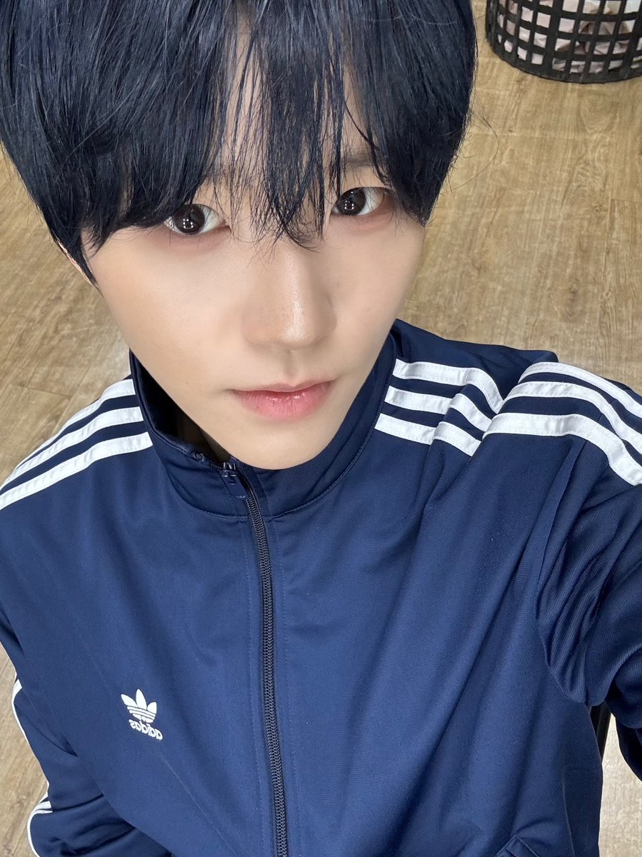 블쿠캣 tweet media