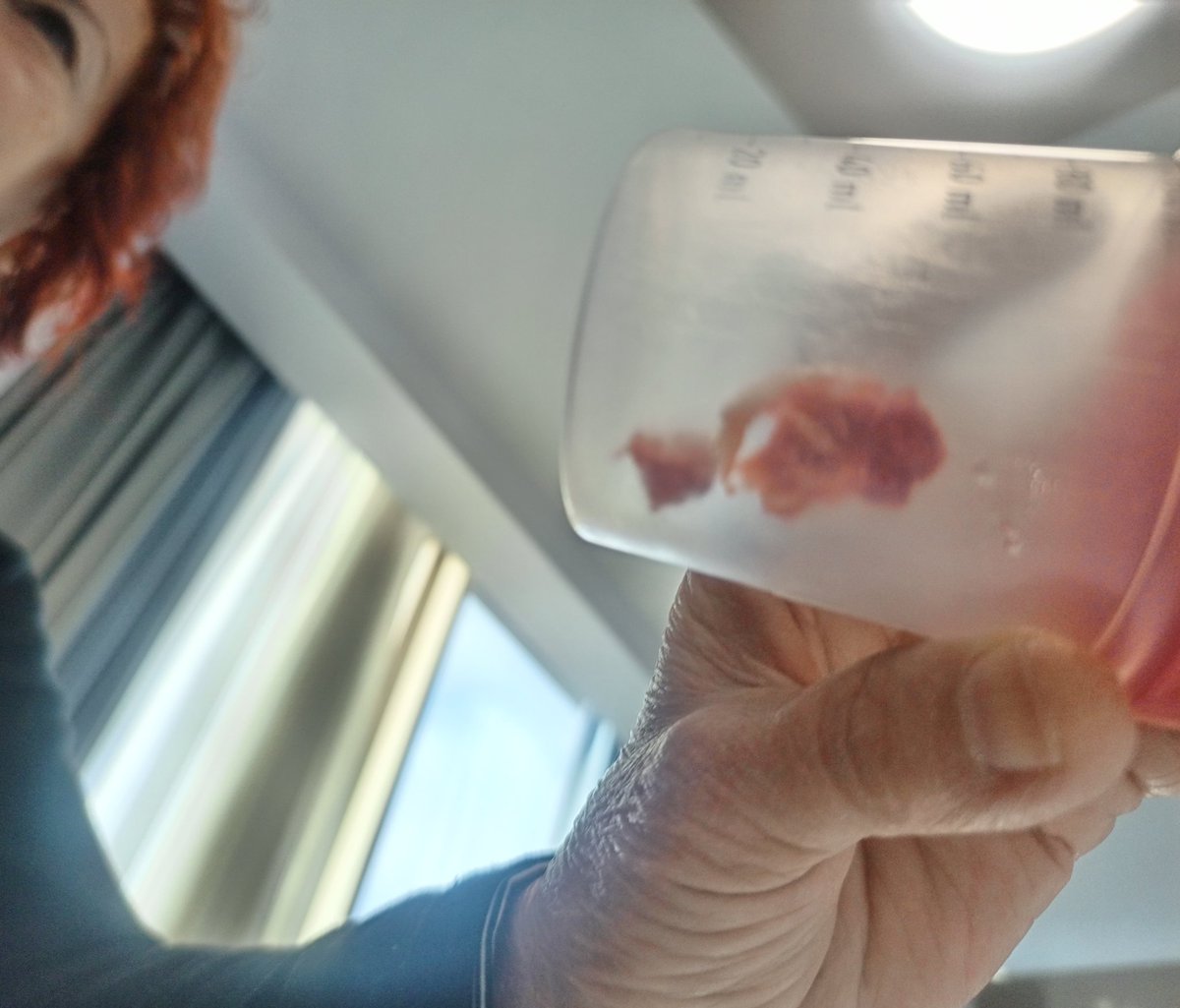 بهار tweet media