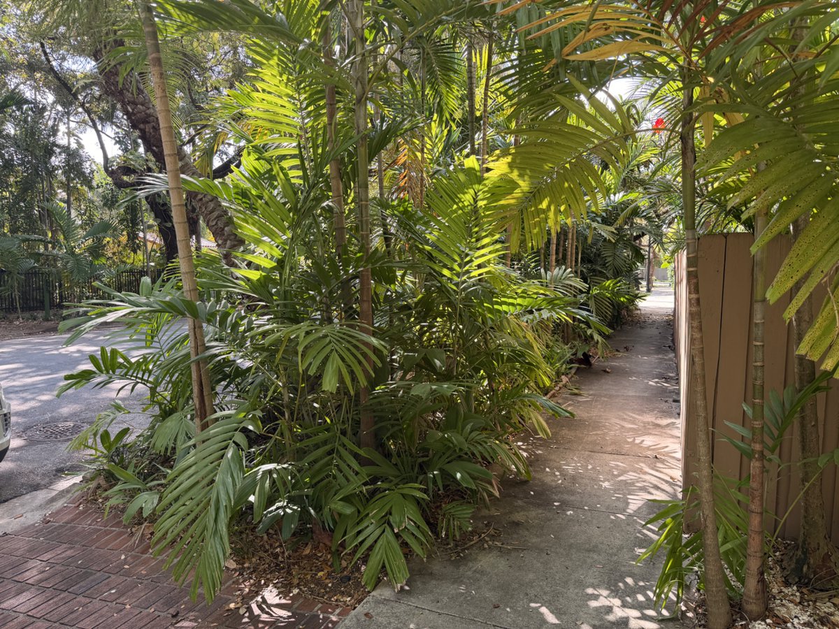 Tom Goodwin tweet media