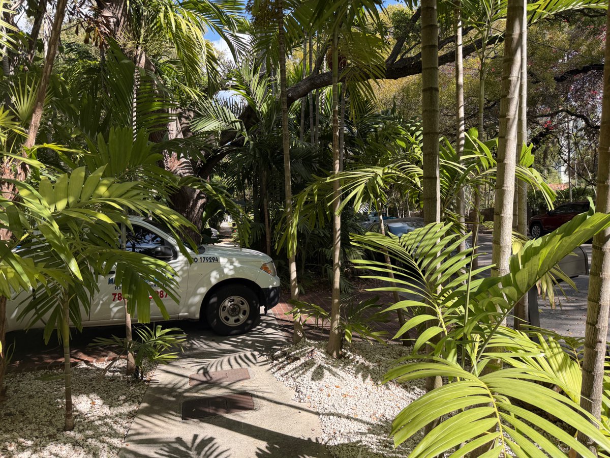 Tom Goodwin tweet media